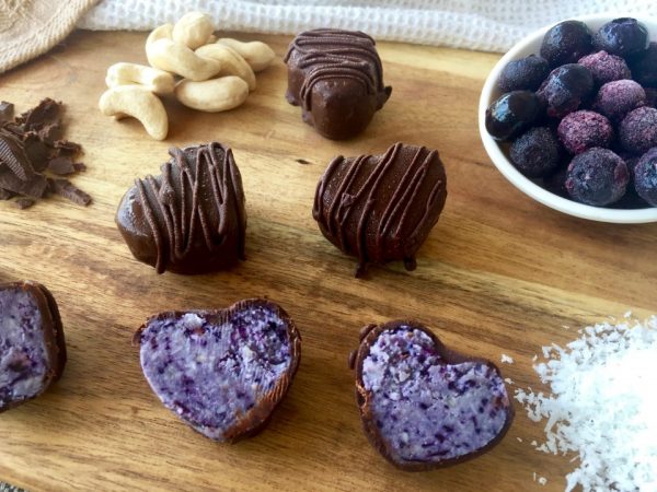 Chocolate Coconut Blueberry Bites Chocolate Coconut Blueberry Bites