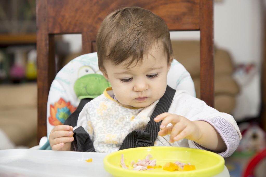 Portrait of little one year old baby at table eating food from a plate with hand