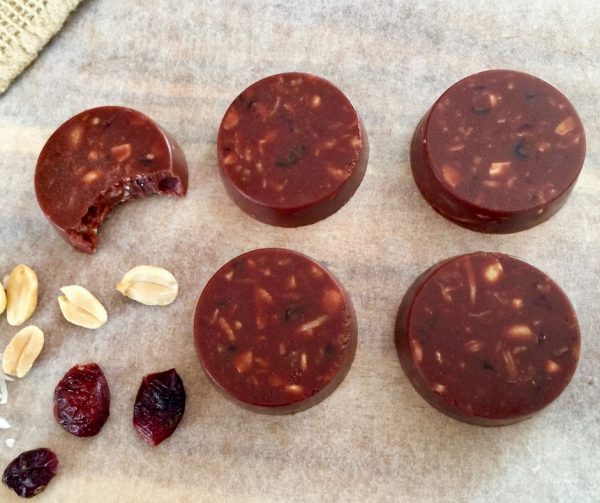 5 ingredient coconut chocolate and cranberry disks 5 ingredient coconut chocolate and cranberry disks
