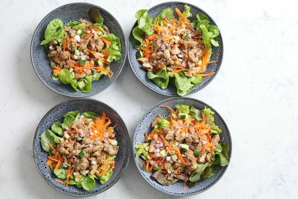 Honey Soy Chicken & Salad-2