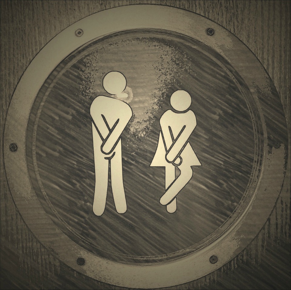 toilet-busting