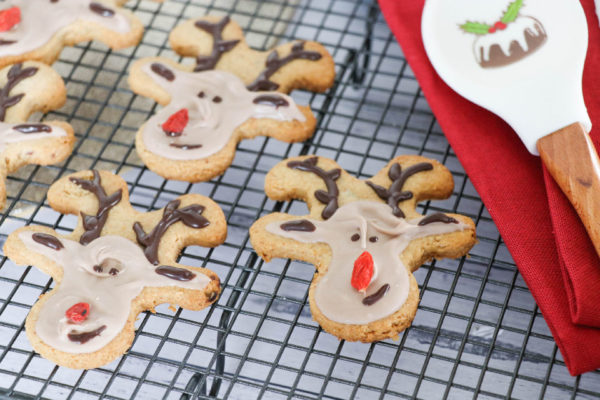 Reindeer Reindeer